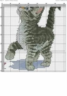 Кот схема