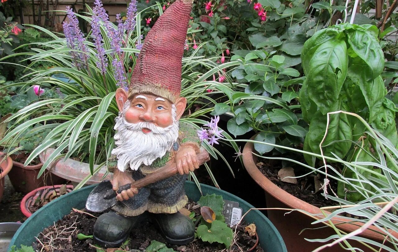 Garden gnome