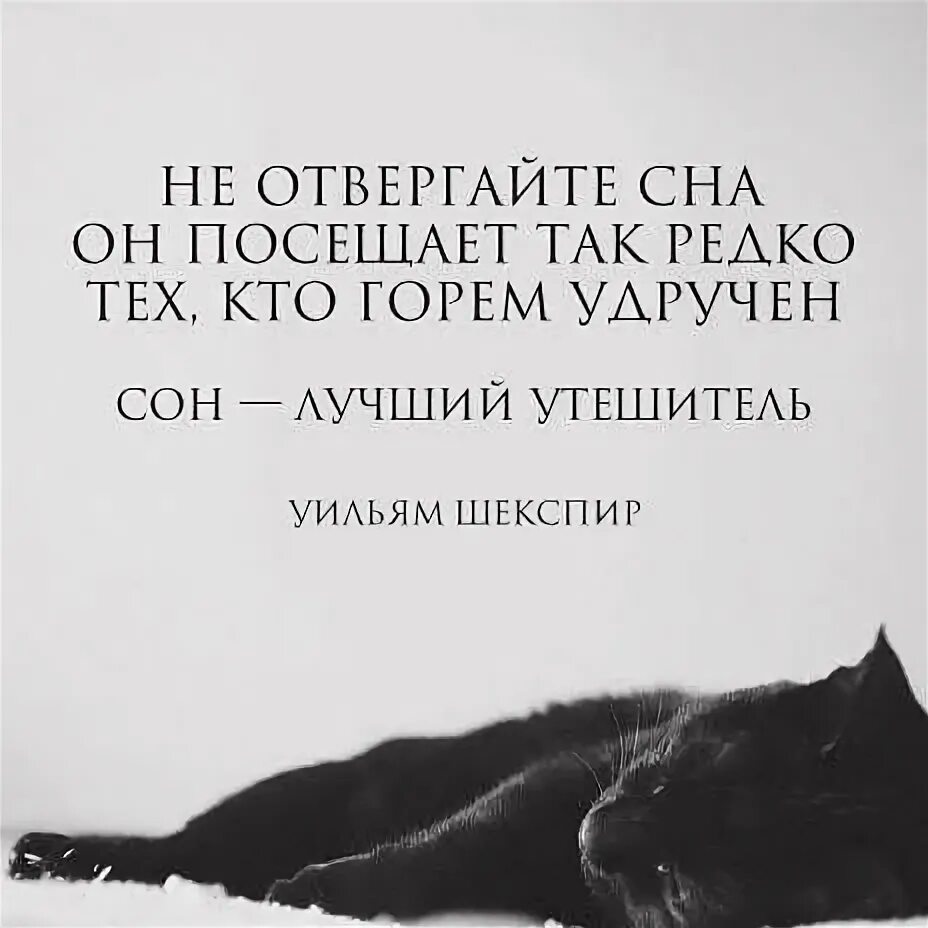 Засыпайте цитаты. Афоризмы про сон. цитаты про сон. красивые цитаты про сон. высказывания великих о сне.