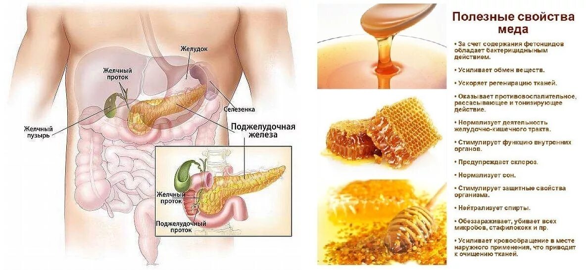 Мед при панкреатите поджелудочной железы можно