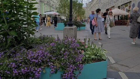 Цветы московская улица