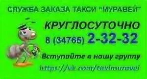 Номер муравья чита