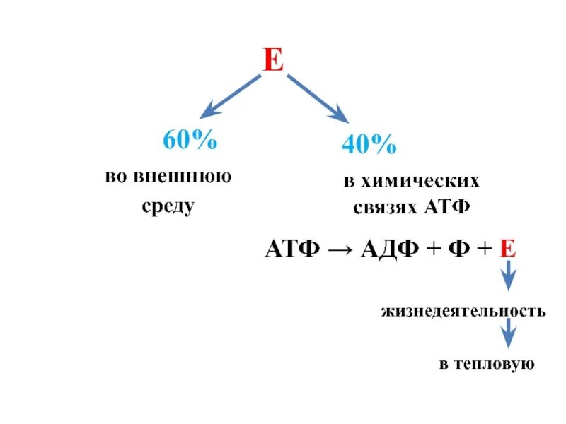 Атф это. АДФ Ф АТФ. АТФ= АДФ+Ф +Е. 36 Молекул АТФ. АТФ хим процесс.