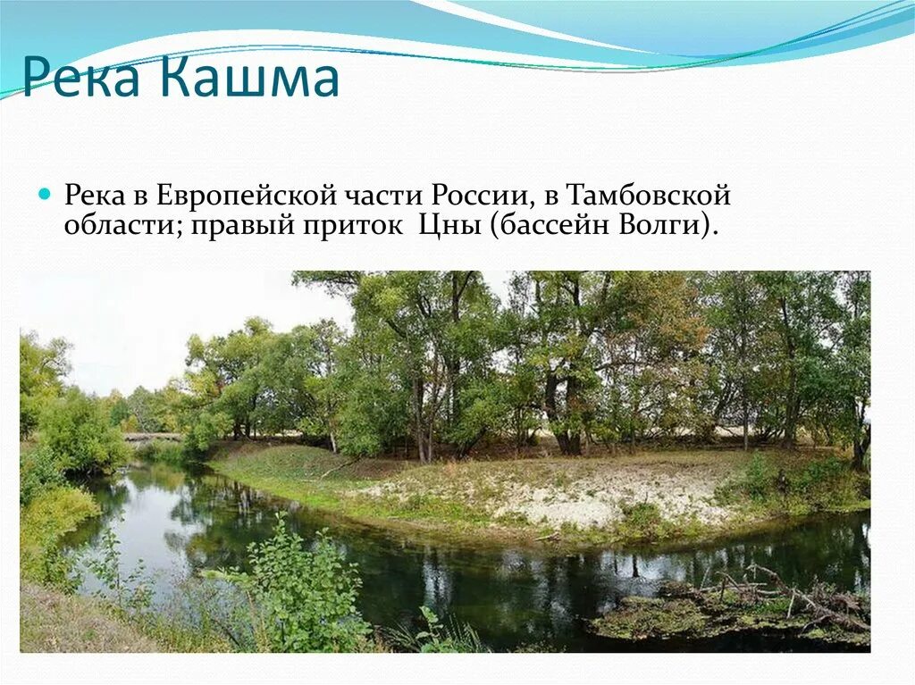 Большинство рек европейской части россии. Река Кашма Тамбовской области. Река Кашма. Реки европейской части России. Притоки Цны в Тамбовской области.