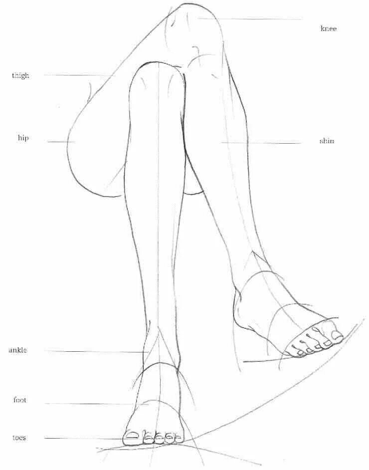 Leg art. Нога на ногу референс. Рисование женских ног. Зарисовки ног. Наброски ног.