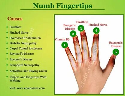 Fingertips