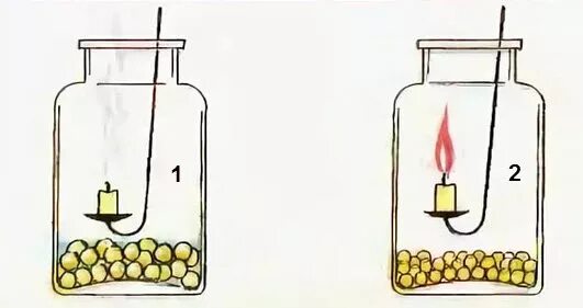 Прорастание семян. Дыхание прорастающих семян. Дыхание семян. Эксперимент дыхание семян у растений. Причины покоя семян.