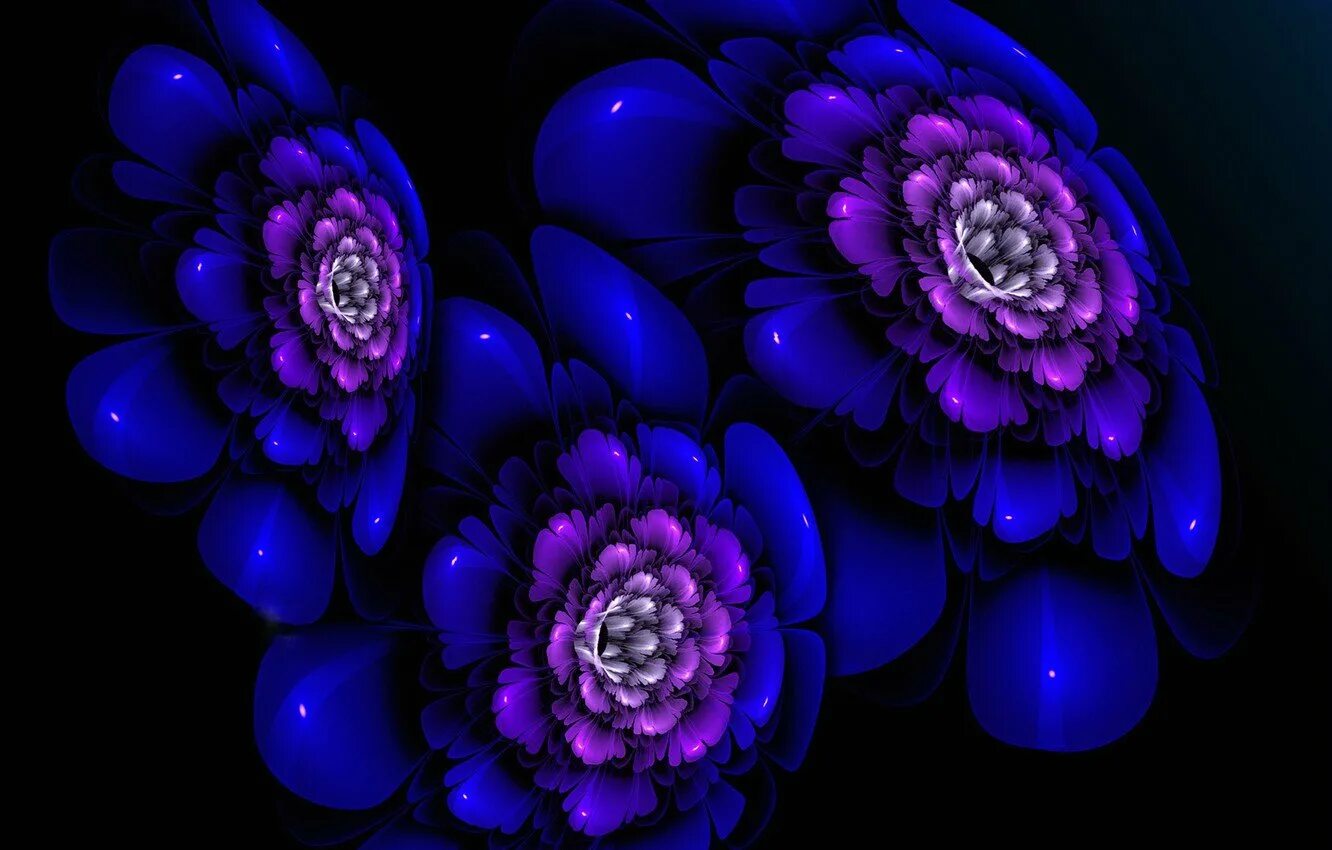Фон на телефон темные цветы. Цветы на черном фоне. Фиолетовые цветы. Яркие цветы на темном фоне. Сине фиолетовые цветы.