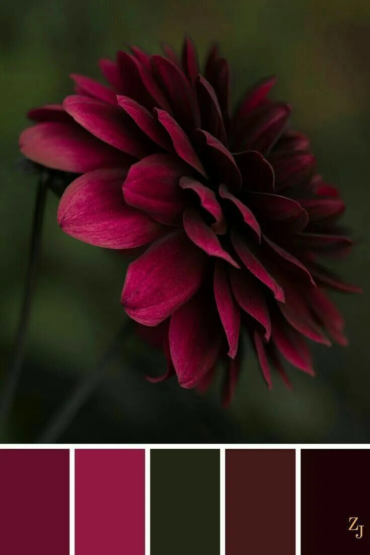 Leaf Autumn Tree Color Palette #colors #inspiration #graphics #design #inspirati
