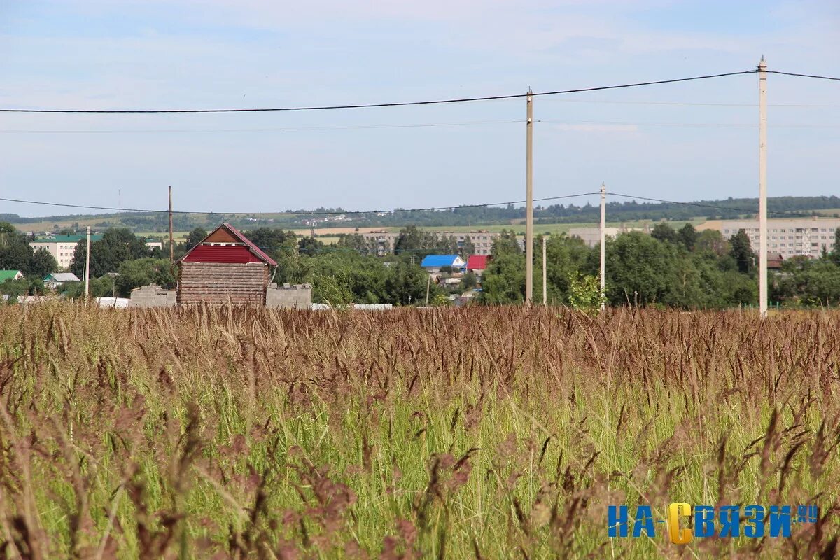 Земля многодетным. Предоставление земли многодетным семьям схема. Участки для многодетных семей с береговое. Участки многодетным в краснодарском крае 2024. Участки для многодетных семей с береговое.