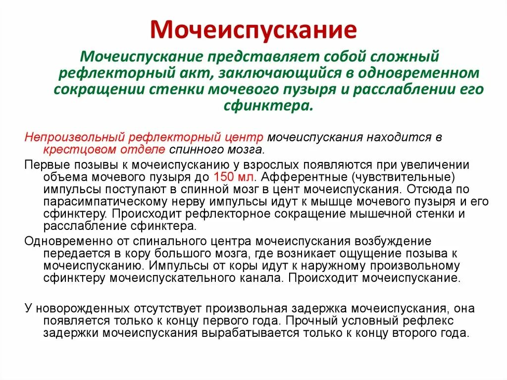 Центр рефлекса мочеиспускания. Процесс мочеиспускания его регуляция. Рефлекторный акт мочеиспускания. Механизм регуляции мочеиспускания.