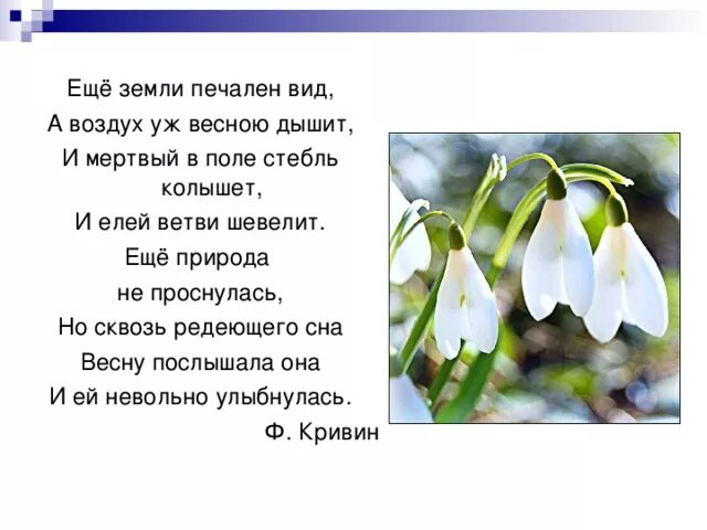 Ф тютчев еще земли печален вид. Ещё земли печален вид а воздух уж весною дышит. Ещё природа не проснулась но сквозь редеющего сна весну. Стихотворение еще природа не проснулась. А воздух уж весною дышит ф.и Тютчев.