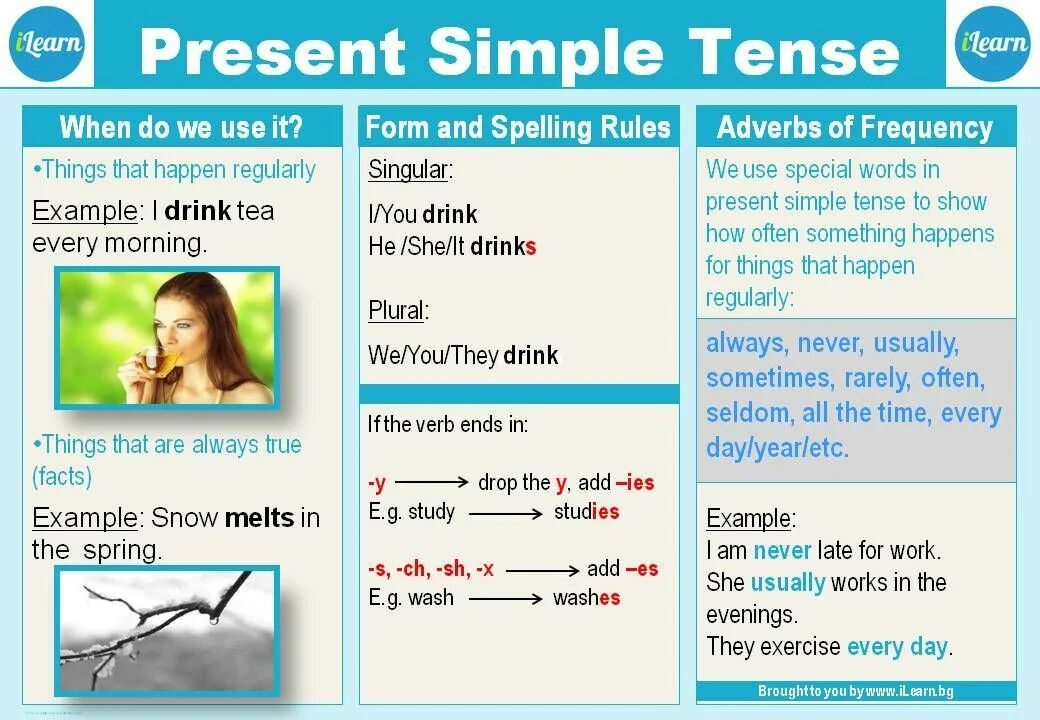 Simple present Tense в английском языке. Инфографика present simple. Past simple инфографика. The simple present Tense.