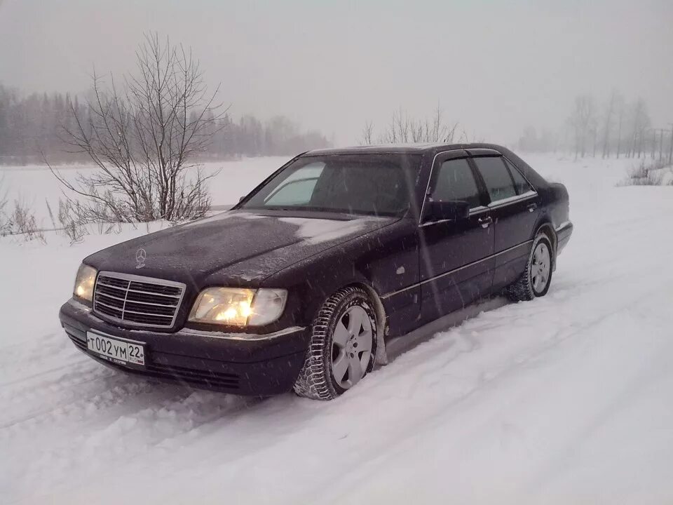 Кабаны в ростовской области. European wild boar. Кабан 18. Кабан 18. Игрушка триол кабан хрюкающий 170мм латекс 12151076.