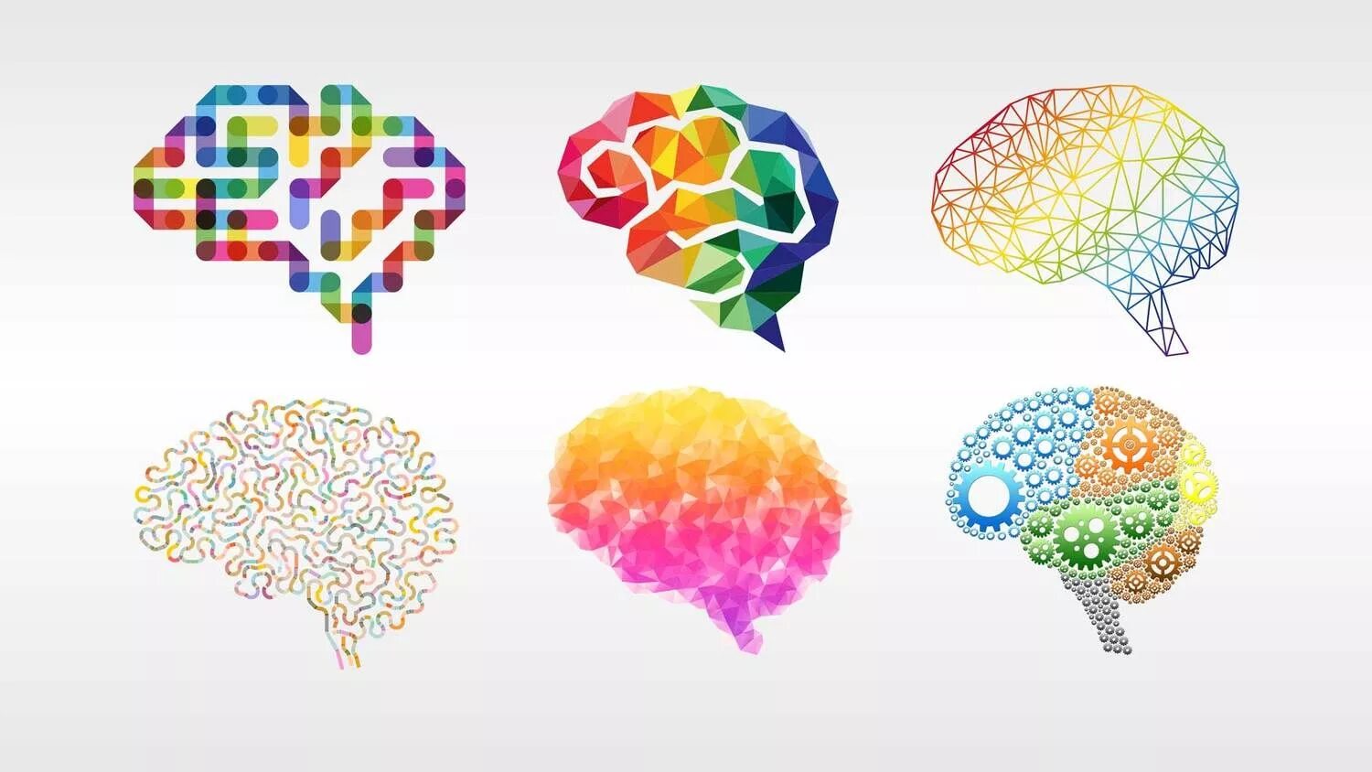 Colored brains