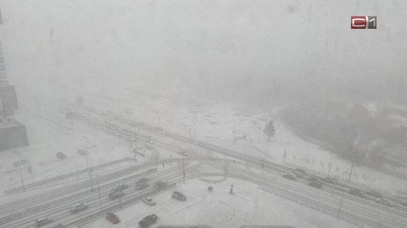 Погода сургут на неделю 14. Метель в Сургуте. Сильный снег. Дорога в тумане. Метель в городе.
