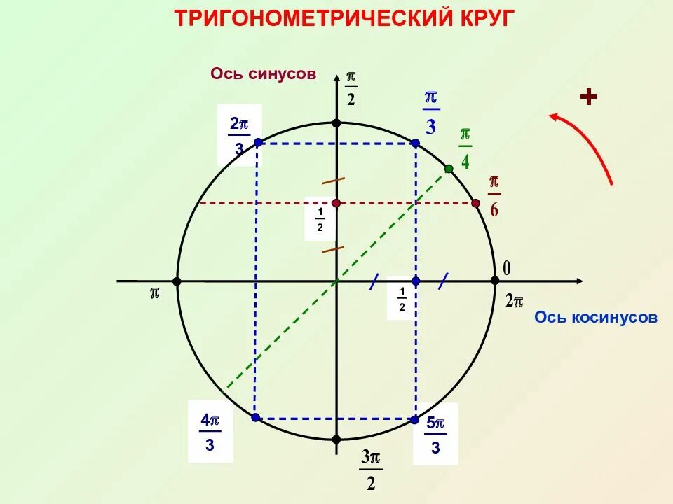 Тригонометрический круг знаки. Тригонометрическая окружность ось синусов. Ось синусов ось косинусов. Единичная окружность тригонометрия синус. Тригонометрический круг ось синусов косинусов тангенсов котангенсов.