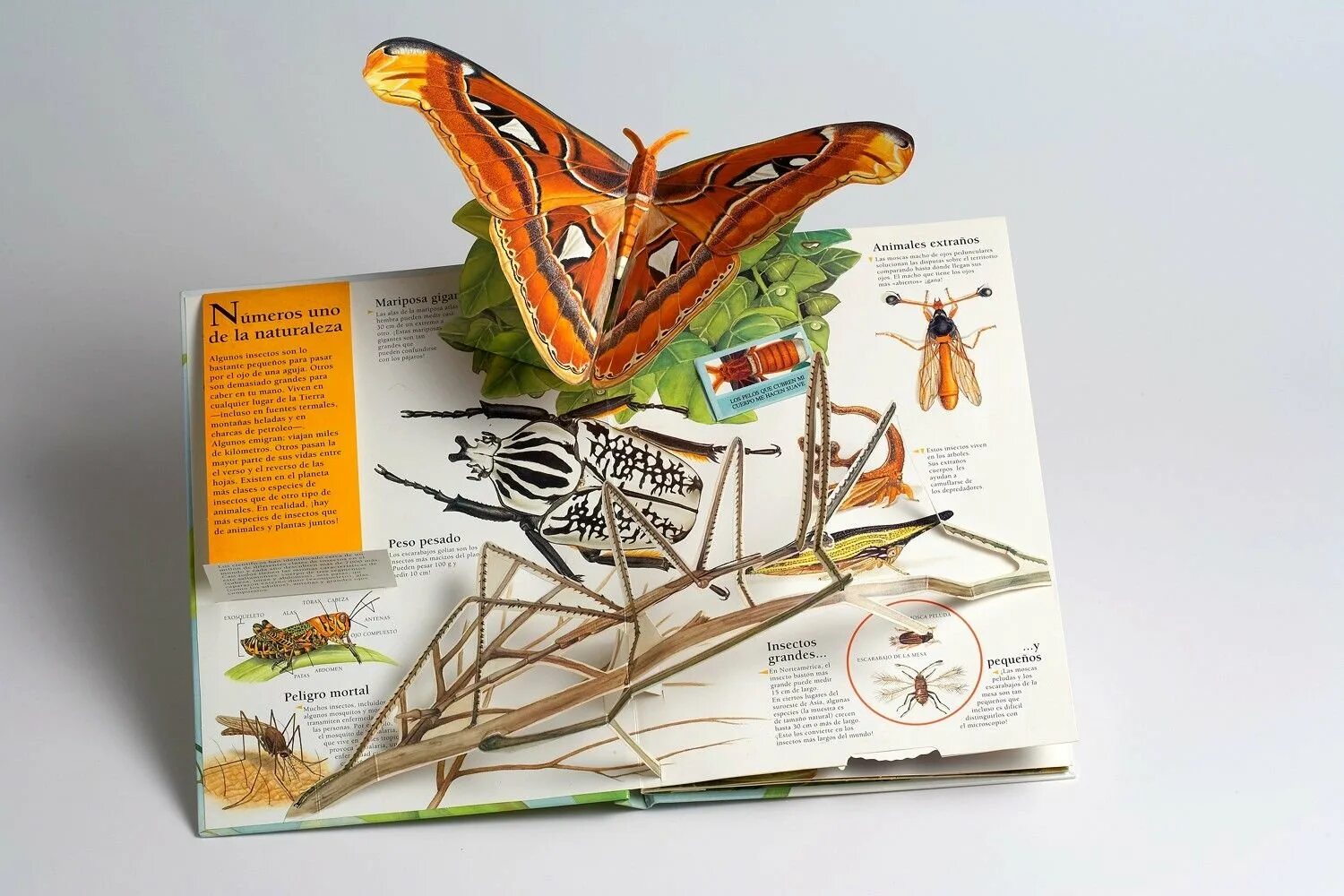 Создание 3d книг. Объемные книги. книги с объемными иллюстрациями. объёмные книжки раскладушки. книжки с объемными иллюстрациями.