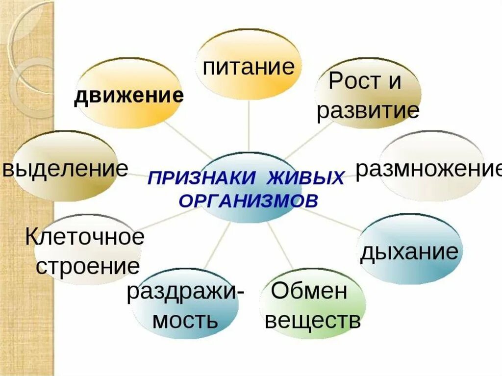 2 свойства живых организмов