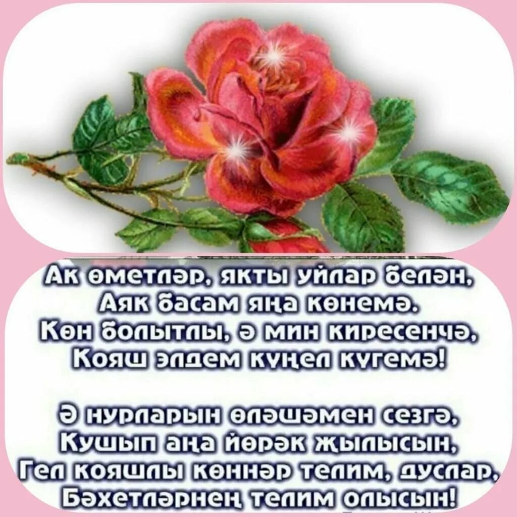 Чыгарылыш сыйныф укучыларына телэклэр татарча