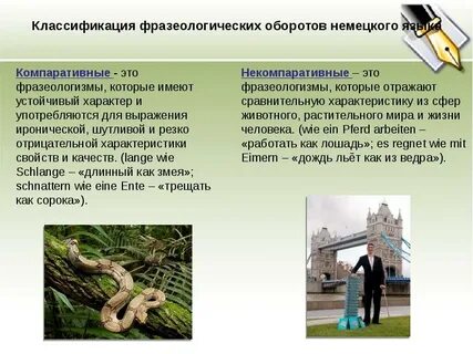 На уроке немецкого фразеологизмы