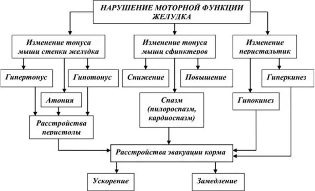 Расстройство двигательной функции. Расстройства моторной функции желудка. Нарушение двигательной функции желудка. Нарушения моторной функции ЖКТ. Нарушение моторной функции желудка.