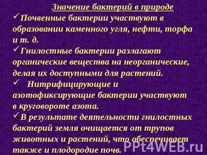 Отрицательная роль почвенных бактерий