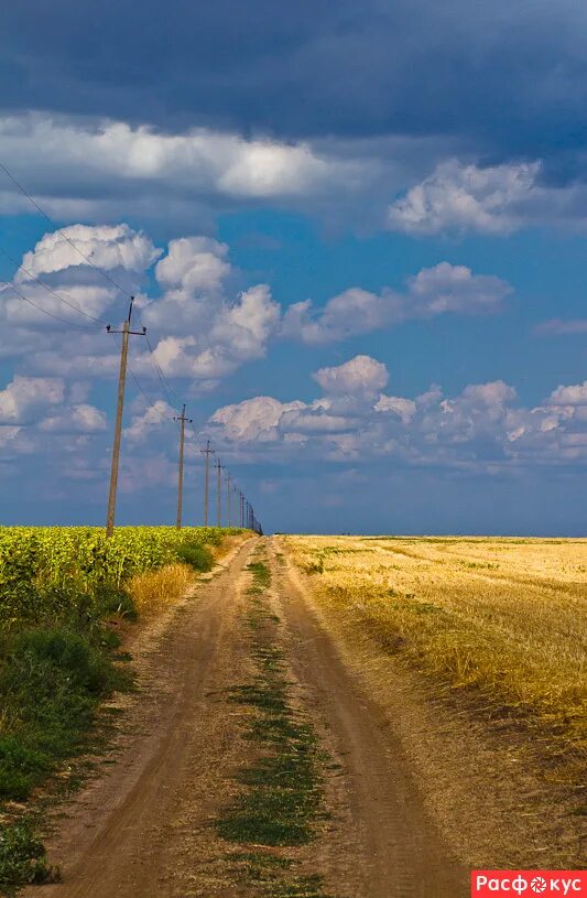 Украинцы дорога. Украинские дороги. Украина дорога. Лето в Украине. Поле пшеницы.