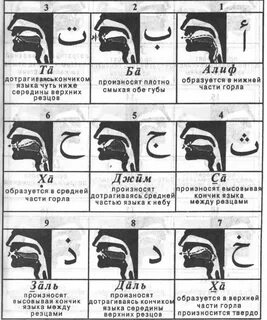 Методика чтения корана будунов мухаммадхабиб