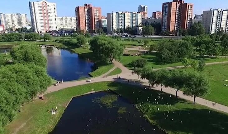 В Ленобласти более 730 обманутых дольщиков