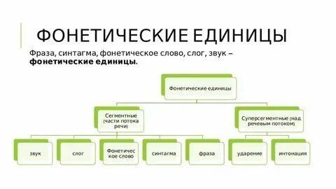 Фонетические единицы соотношение буквы и звука кратко