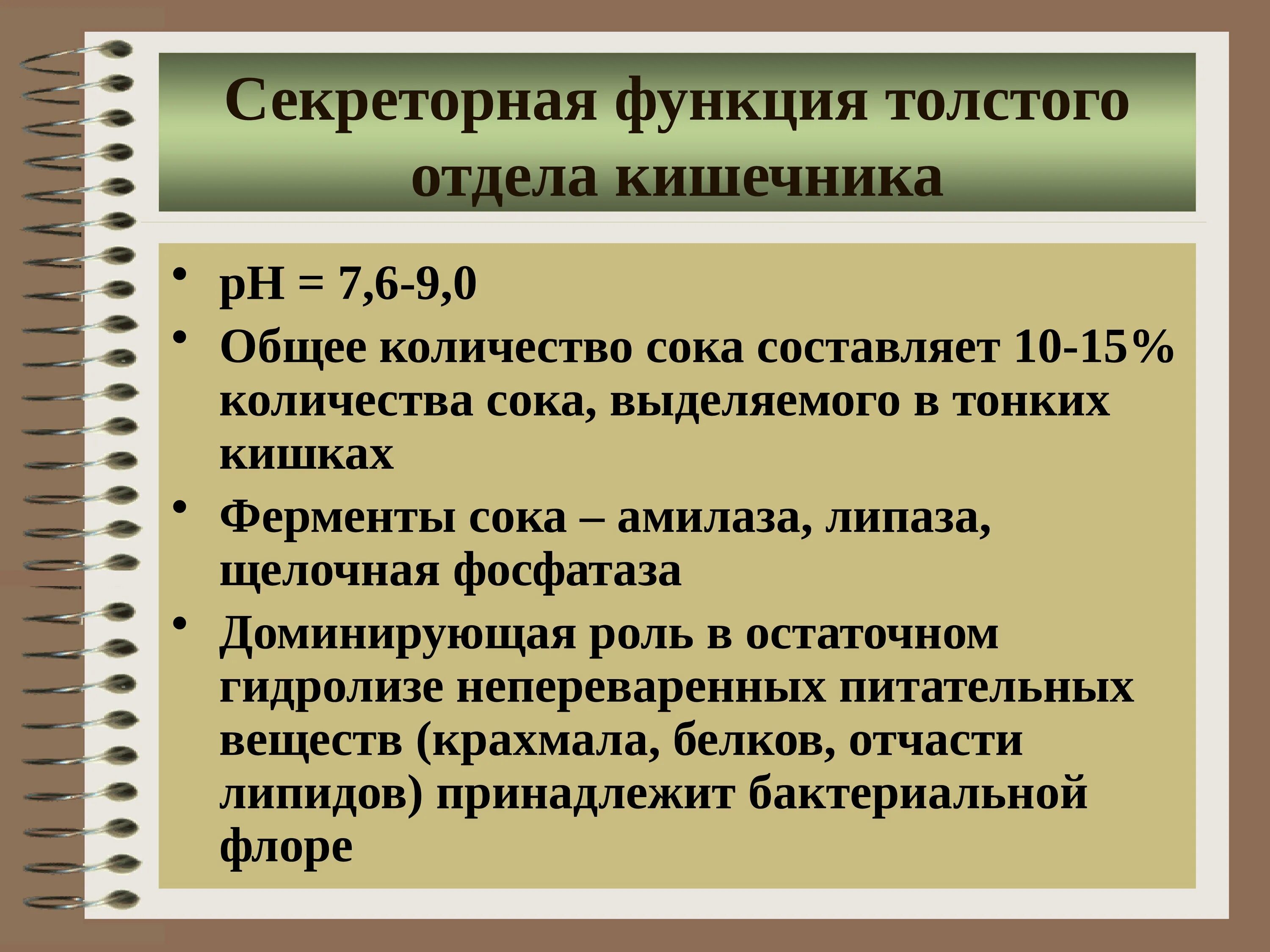 Секреторную функцию регулирует. Секреторная и двигательная функция желудка. Нейро-эндокринные функции гипоталамуса. Секреторная функция печени. Моторная функция пищеварительной системы.