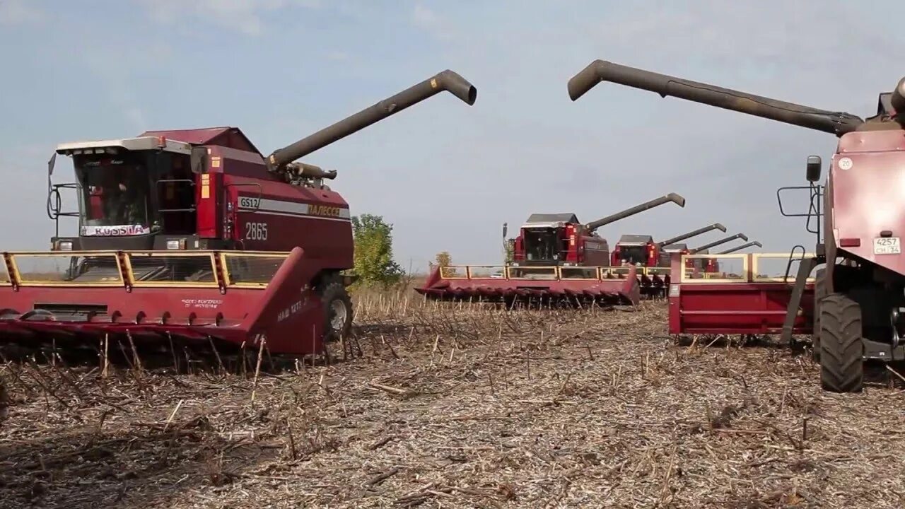 Колхозный банкрот. Поронайск происшествия. Колхоз дружба поронайск. Разруха сельского хозяйства. Мтз 80 колхоз.