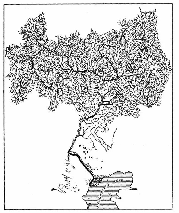 Рельеф бассейна реки волга. Речной бассейн реки Волга. Речная система реки Волга. Схема бассейна реки Волга. Волжское Древо Речная сеть бассейна Волги.
