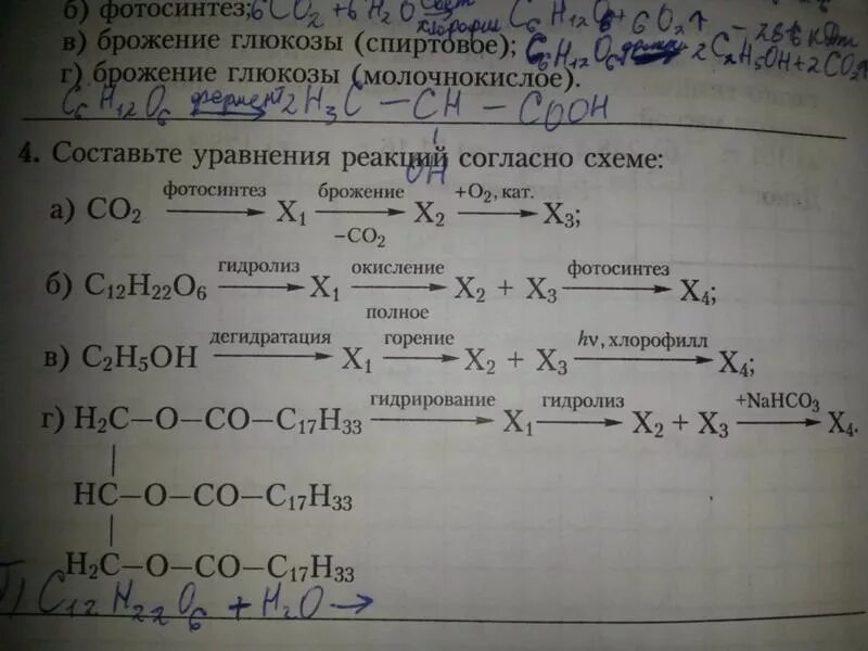 Спиртовое брожение раствора глюкозы. Молочнокислое брожение Глюкозы уравнение реакции. Реакция молочнокислого брожения Глюкозы. Виды брожения Глюкозы уравнения реакций. Спиртовое брожение Глюкозы уравнение реакции.