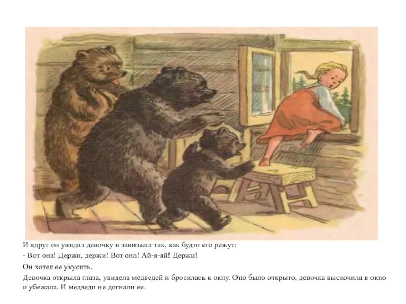 Собака привела трех медведей