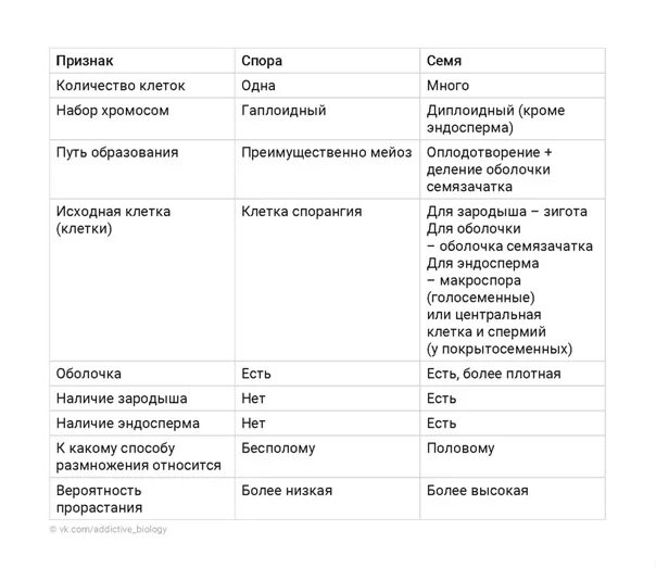 Сравнительная характеристика семени и споры. Различие семени и споры. Сравнение споры и семени таблица. Различие спор и семян.