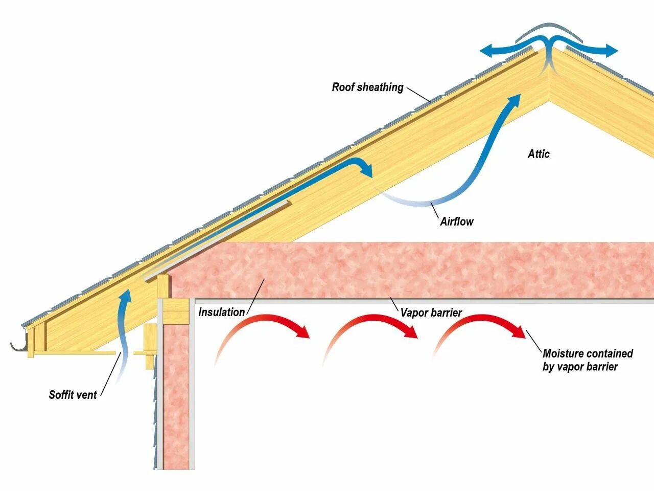 Insulation перевод. ТЕХНОНИКОЛЬ холодный чердак. Холодный чердак без гидроизоляции. Утеплителя перекрытия холодного чердака ТЕХНОНИКОЛЬ. Пароизоляция холодной крыши схема.