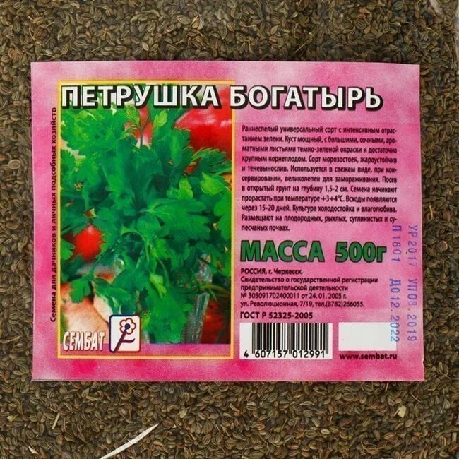 Петрушка лучшие сорта для открытого грунта. Петрушка листовая раннеспелые сорта. Петрушка богатырь 2г аэлита (ц. Петрушка лучшие сорта для открытого грунта. Петрушка листовая богатырь 2 г плазменные семена.