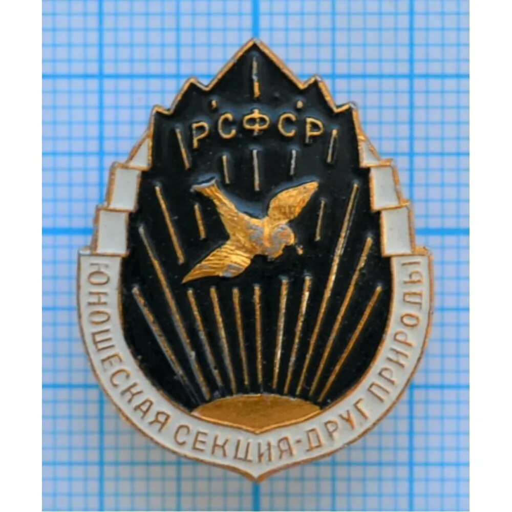 Рсфс. Значок детская секция друг природы. значок юношеская секция друг природы рсфср цена.