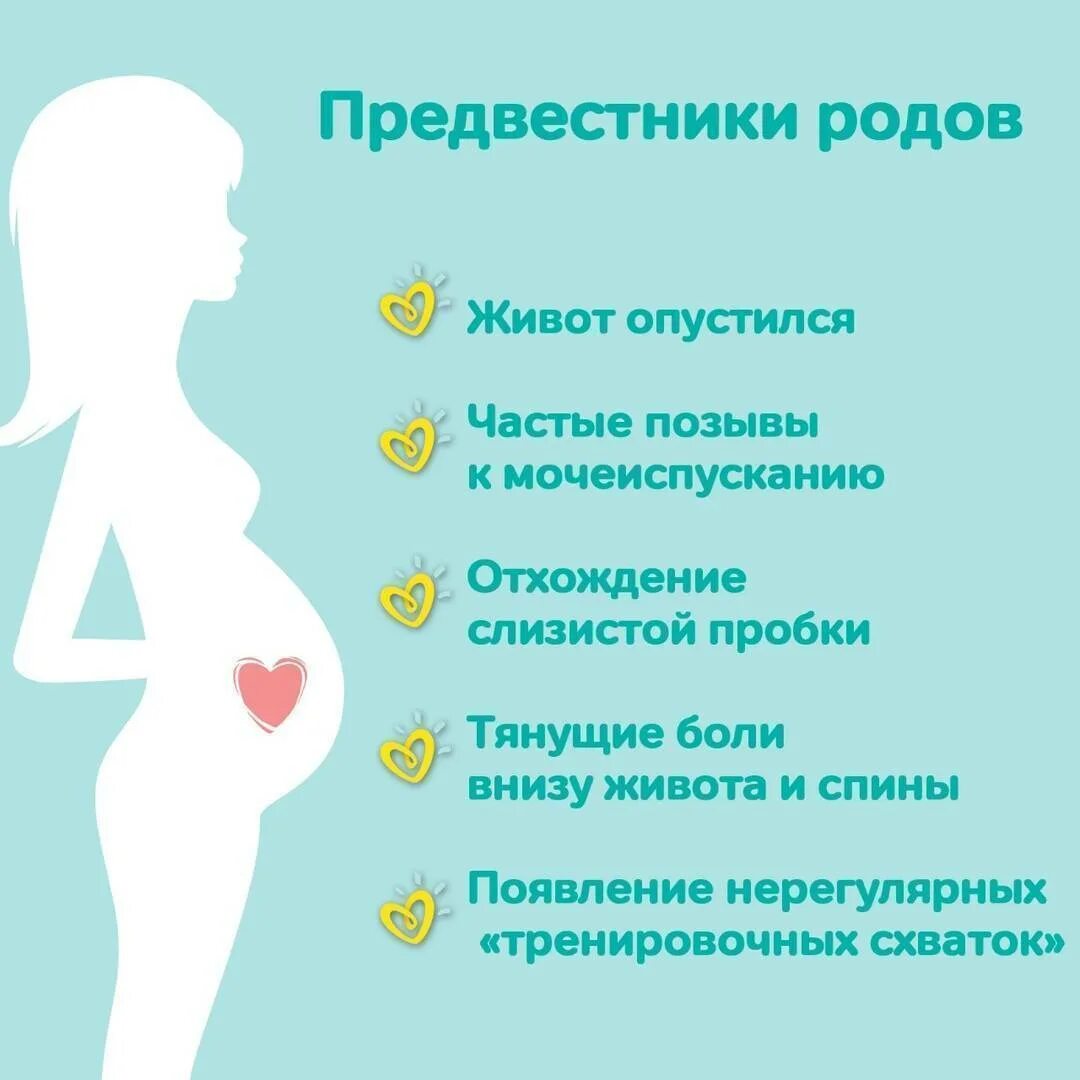 На последних сроках беременности форум. Предвестники родов. симптомы начала родов. признаки начинающихся родов. признаки беременности.