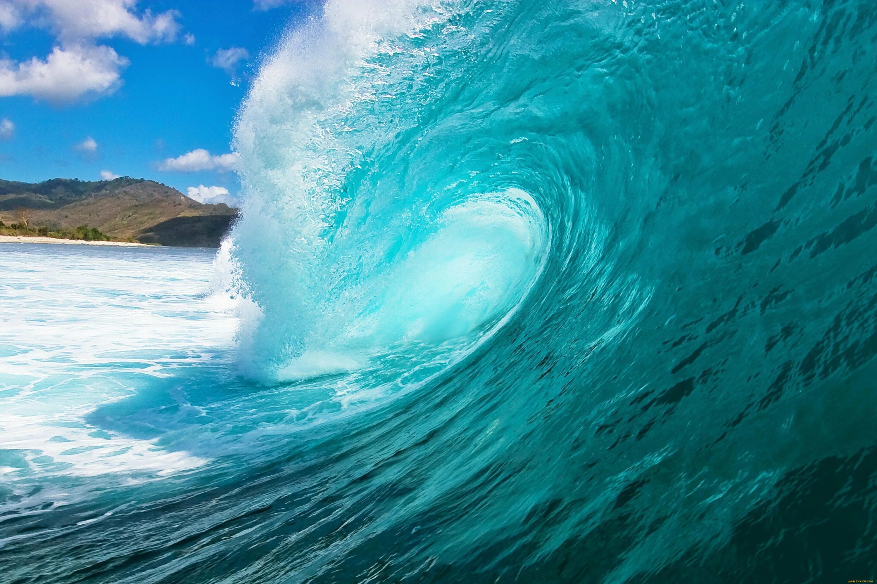 Must wave