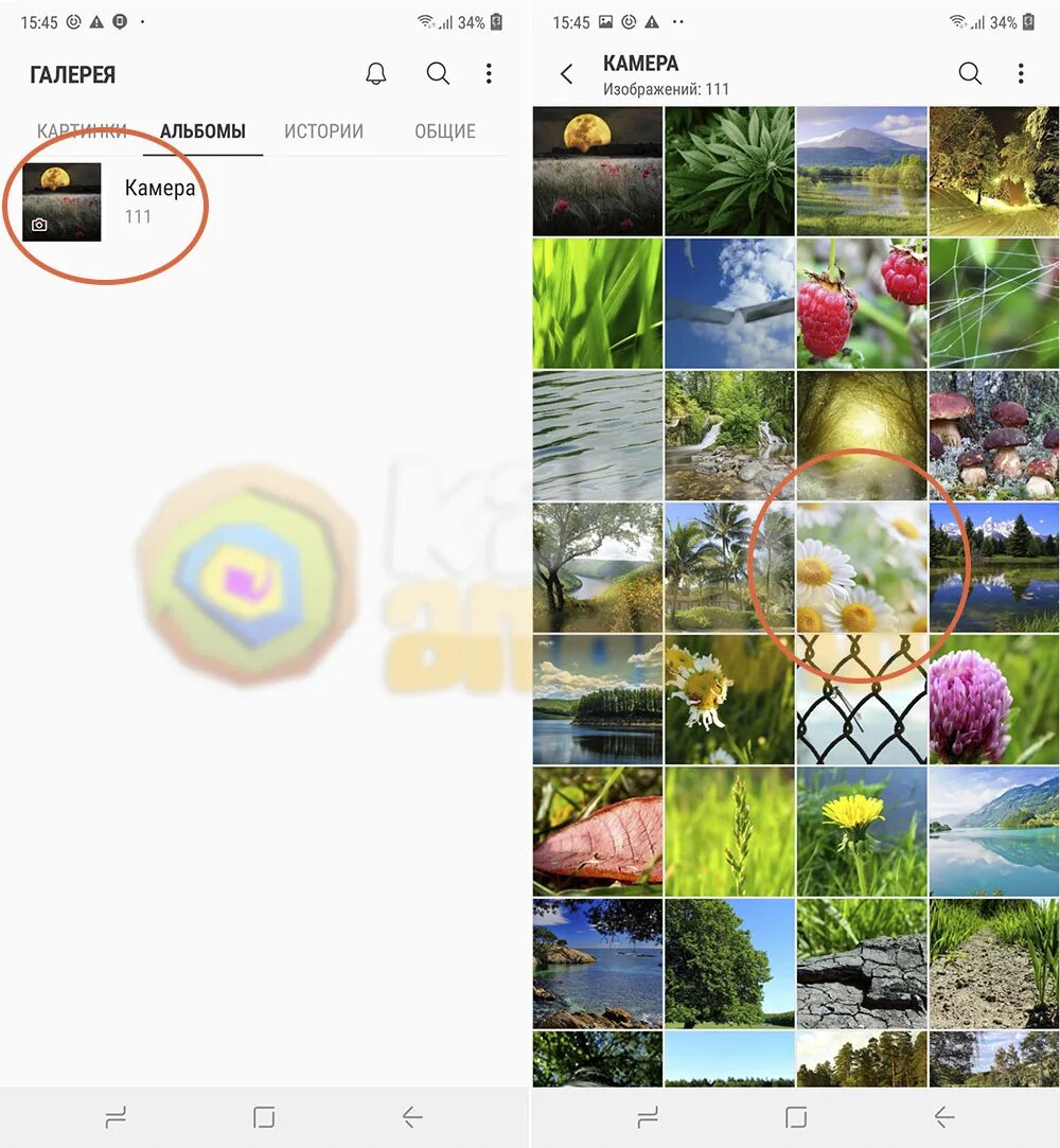 Галерея андроид. Галерея Samsung приложение. Галерея в телефоне. Альбомы в галерее андроид.