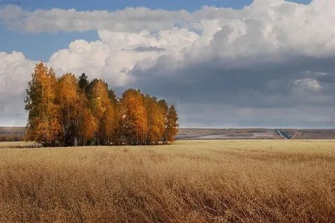 Бабье лето фото