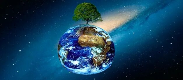 Как живет земля. На этой земле жить мне и тебе. Планета земля проект. Живи земля. Как живет земля.