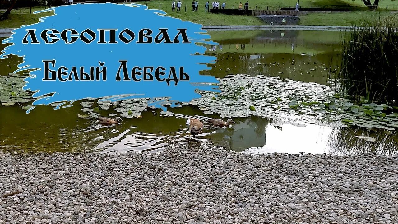 Юсуповский сад. Пристань лопухинский сад. Парк серебряный пруд санкт-петербург. Прогулка пруд. Прогулка пруд.