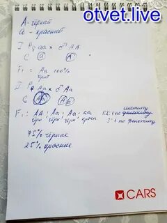 Какое потомство можно