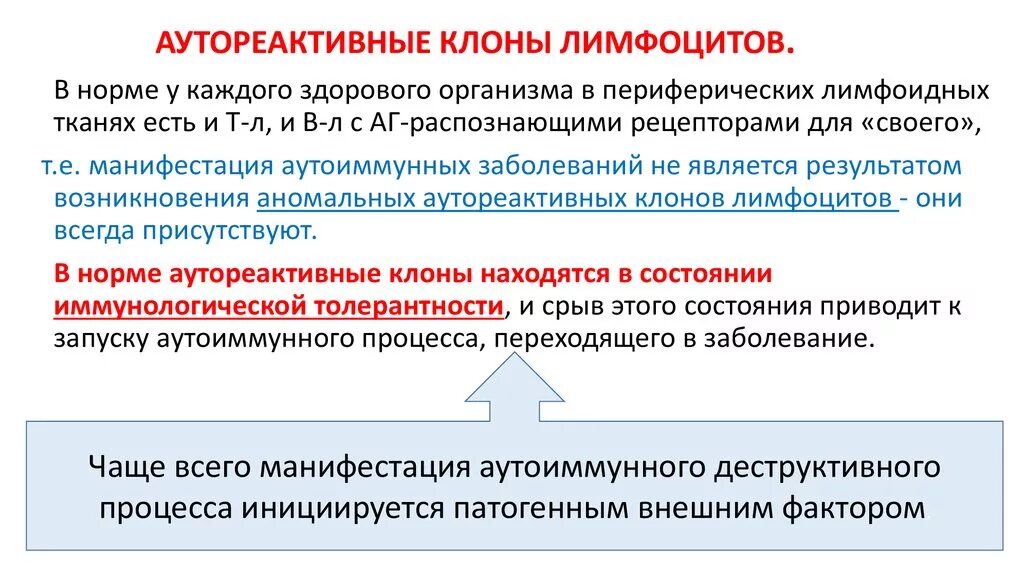 Клон в микробиологии это. Клон лимфоцитов это. аутореактивные лимфоциты. аутореактивные клоны лимфоцитов это. аутореактивные т лимфоциты это.