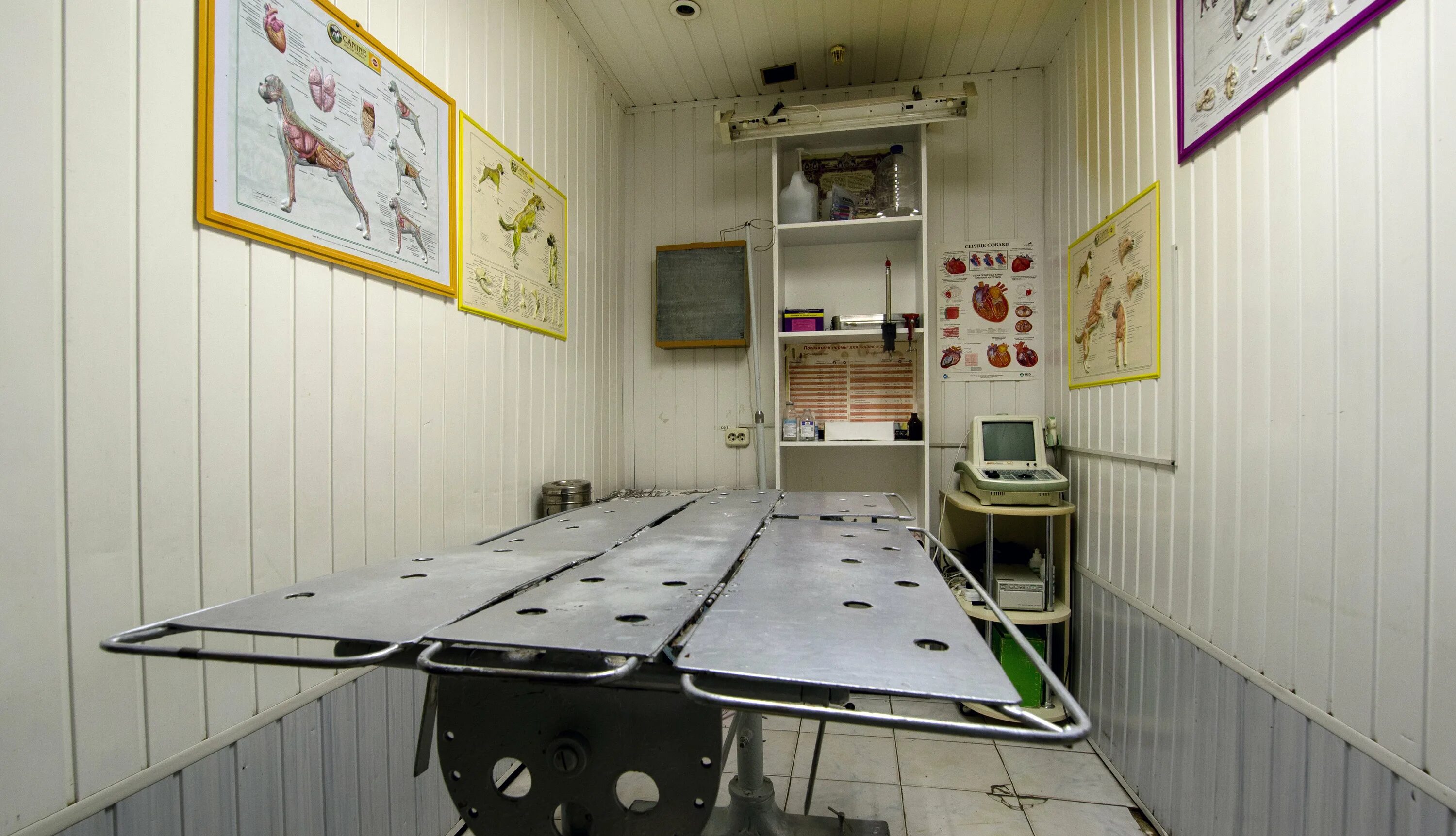 ветеринарная клиника сириус воронина. круглосуточная ветклиника. ветеринарная клиника сириус воронина. ветеринарная клиника на баррикад в калуге. сириус калуга.