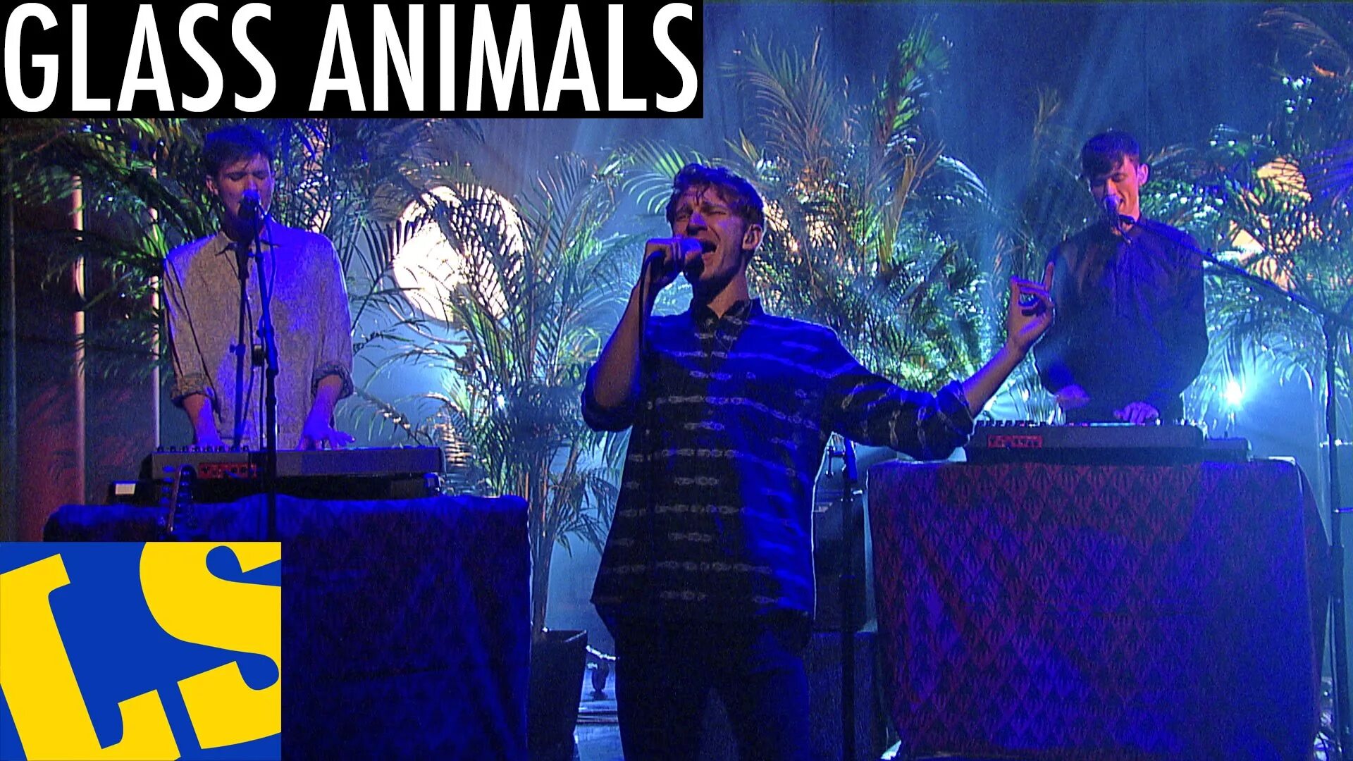 Animals концерт. Глас Энималс. Glass animals Live Concert. Glass animals zaba обложка.